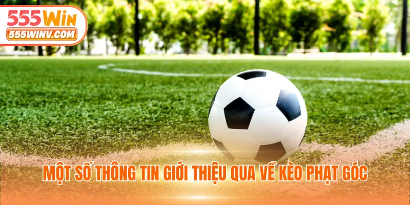 Các loại hình cược phạt góc phổ biến tại 555win